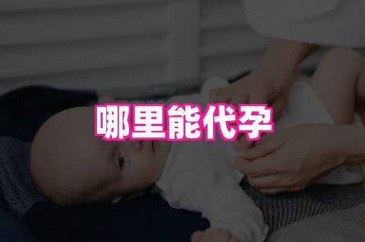 合肥助孕网站 2
