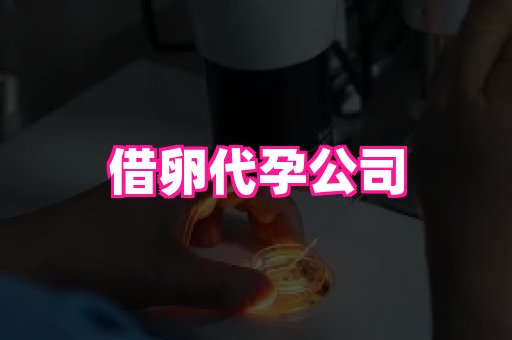 合肥助孕网站 4